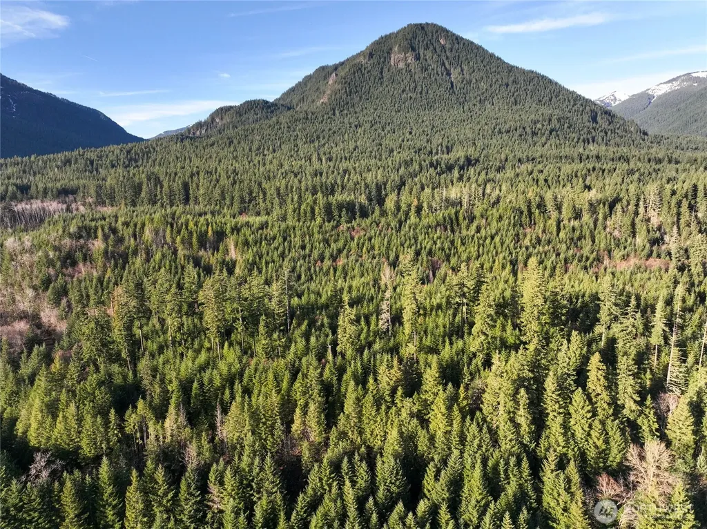0 Skate Creek Rd S Packwood WA 98361