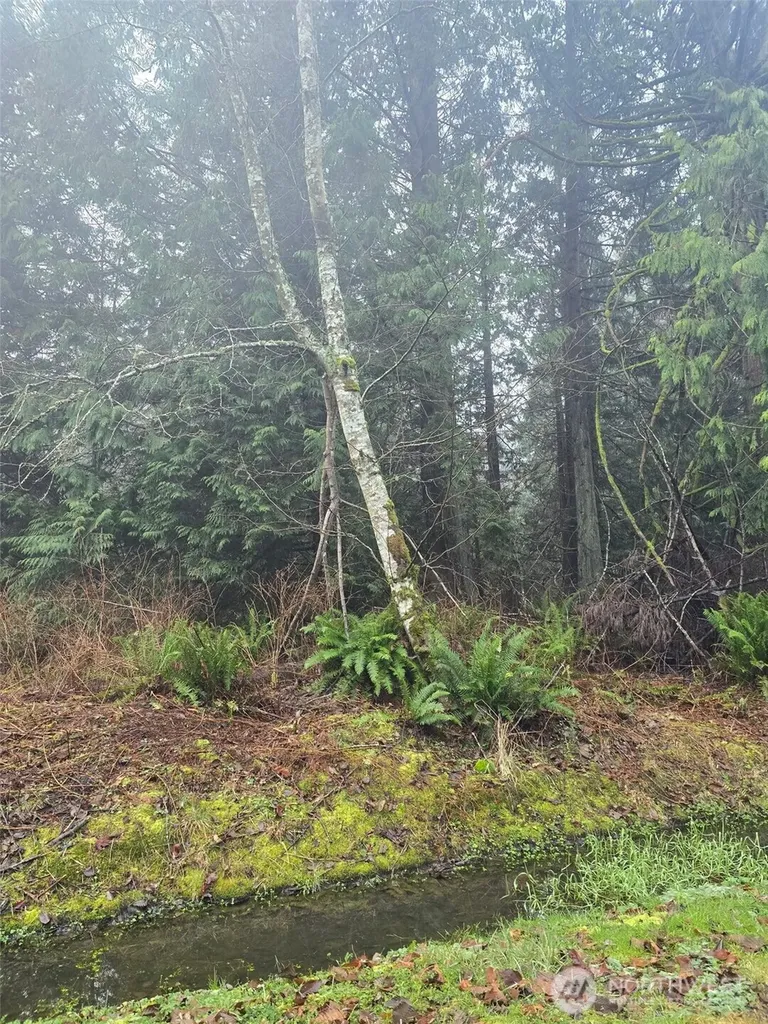 0 Fisherman's Bend Lane Blaine WA 98230