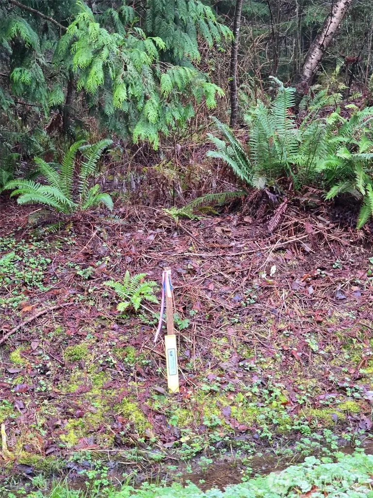 0 Fisherman's Bend Lane Blaine WA 98230