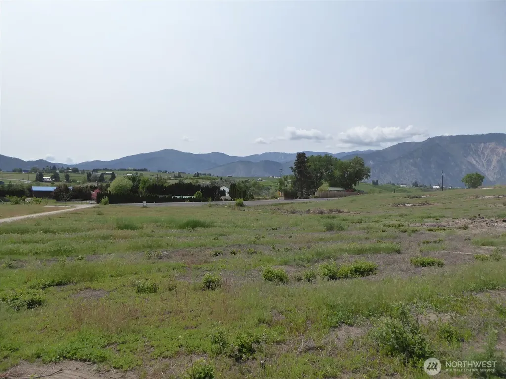 5 Roses View Lane Manson WA 98831