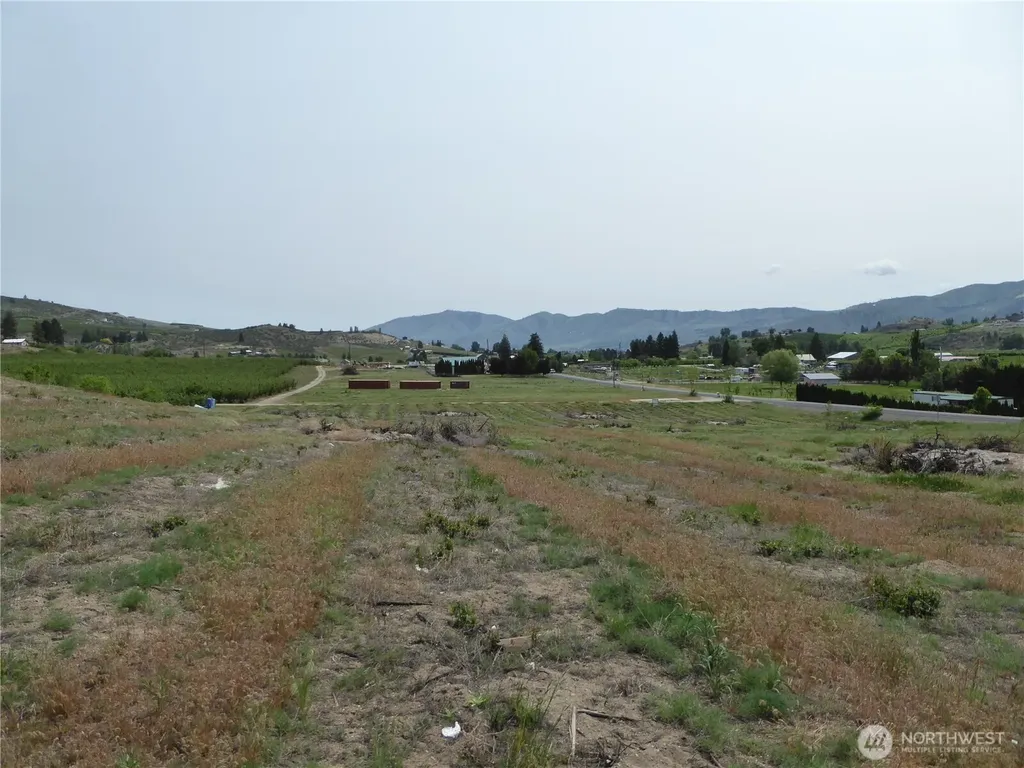 5 Roses View Lane Manson WA 98831