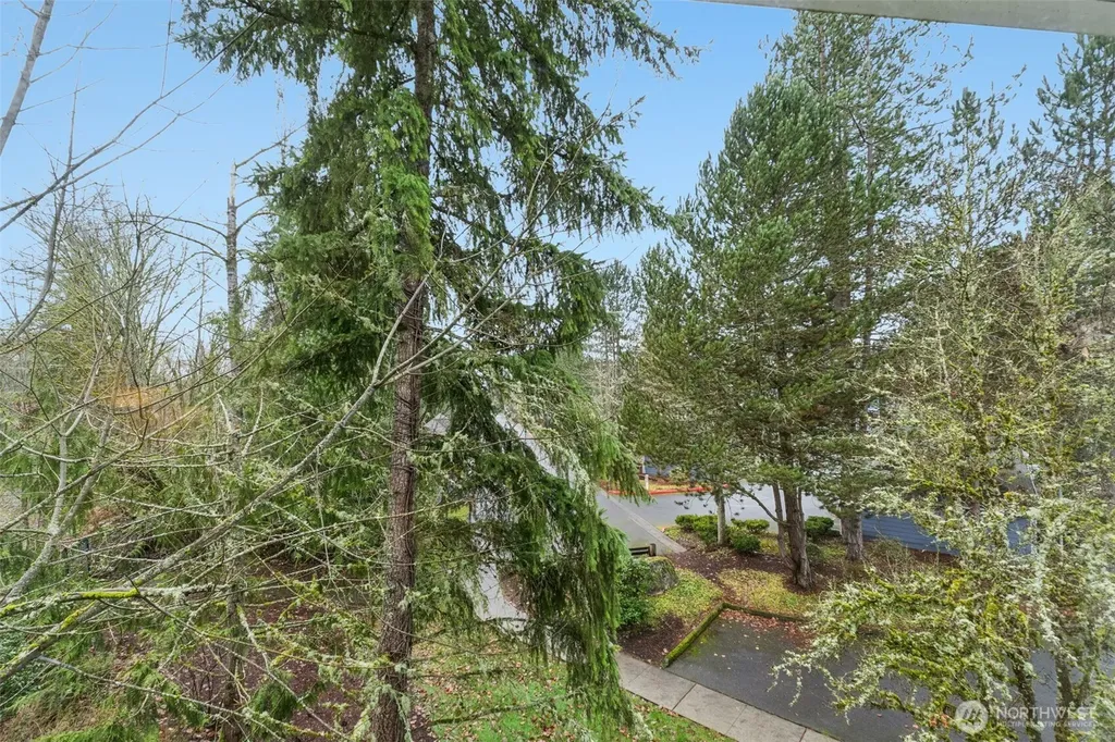 22454 SE 37th Terrace Issaquah WA 98029