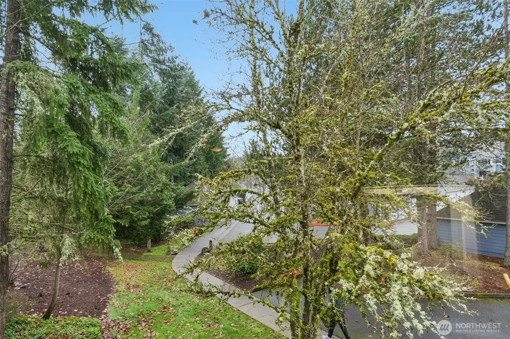 22454 SE 37th Terrace Issaquah WA 98029