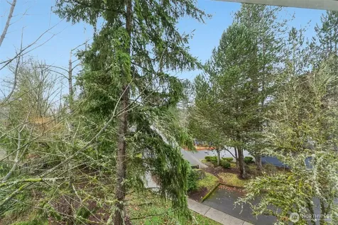 22454 SE 37th Terrace Issaquah WA 98029