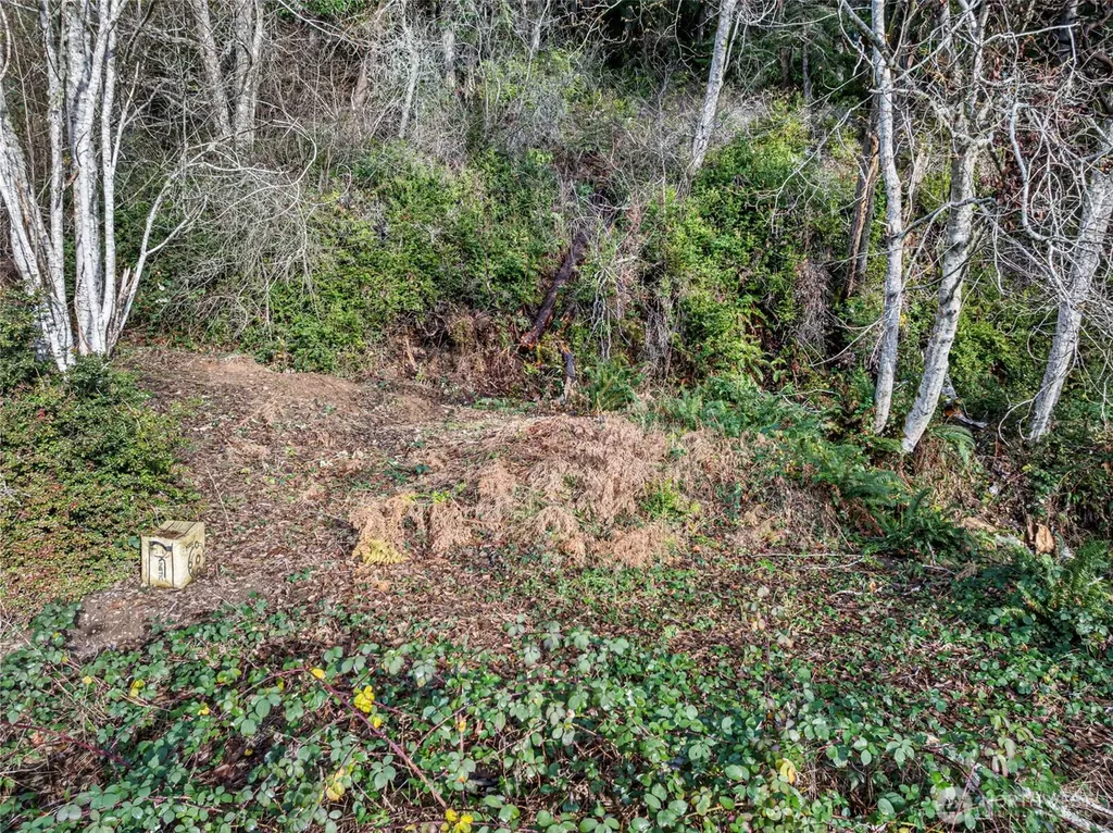 7364 NE North Shore Road Belfair WA 98528