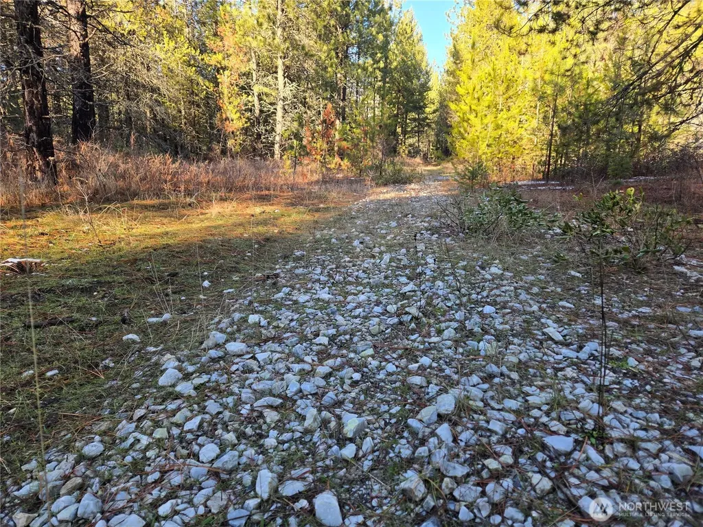 0 W Jump Off Joe Road Valley WA 99181