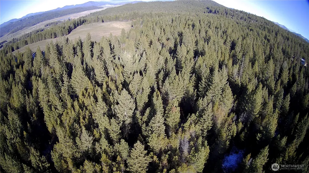 0 W Jump Off Joe Road Valley WA 99181