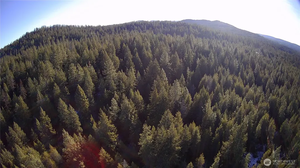 0 W Jump Off Joe Road Valley WA 99181