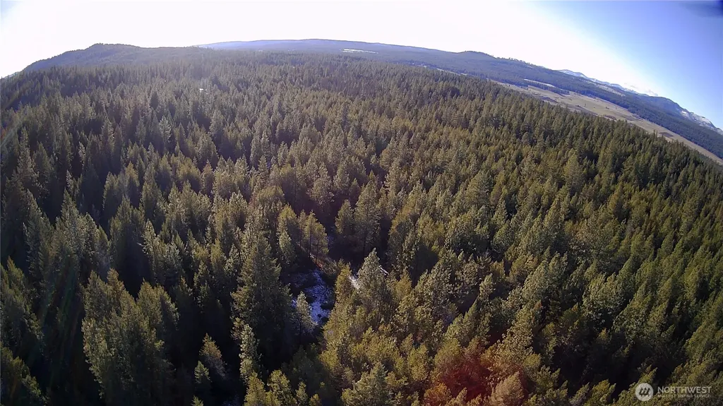 0 W Jump Off Joe Road Valley WA 99181