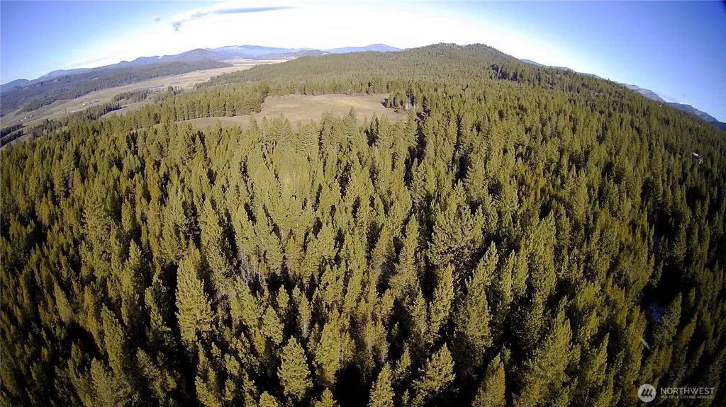 0 W Jump Off Joe Road Valley WA 99181