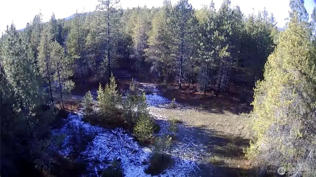 0 W Jump Off Joe Road Valley WA 99181