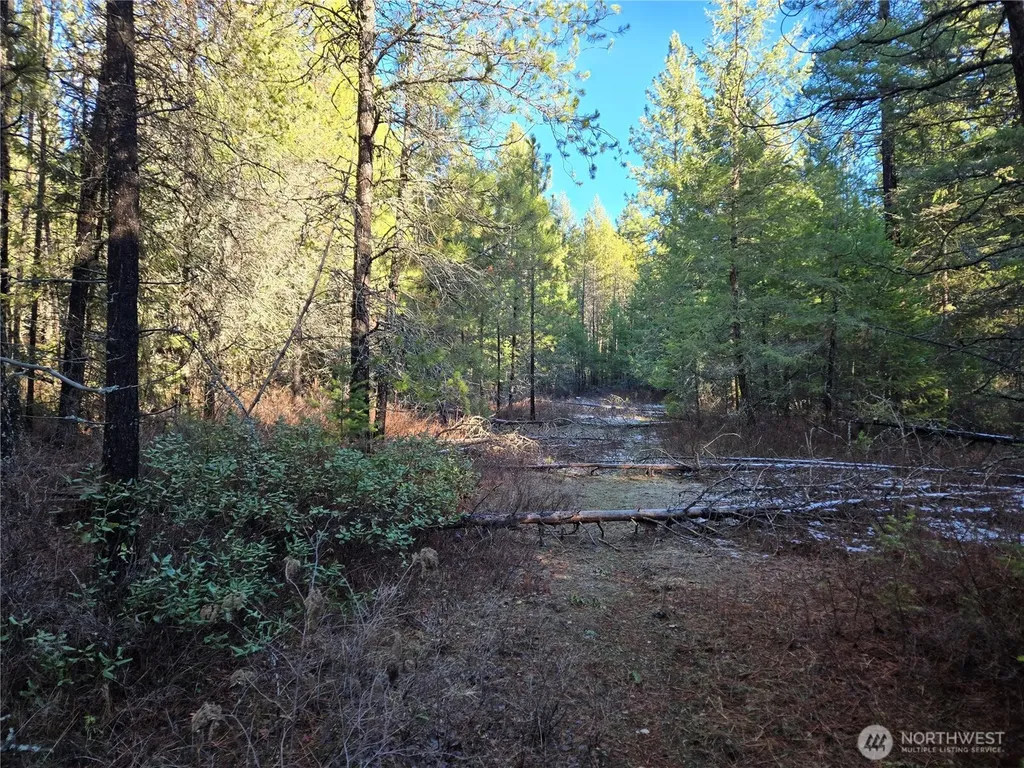 0 W Jump Off Joe Road Valley WA 99181