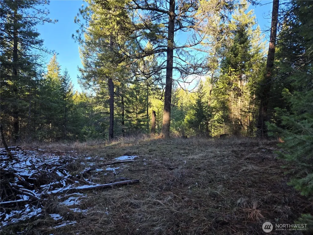 0 W Jump Off Joe Road Valley WA 99181