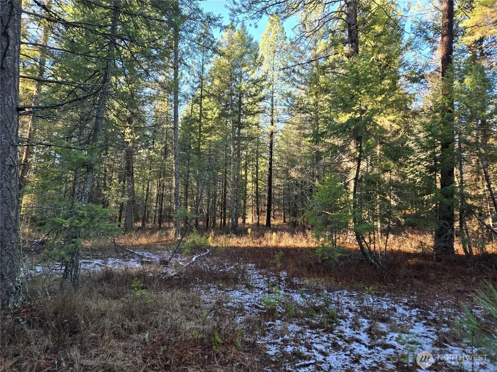 0 W Jump Off Joe Road Valley WA 99181
