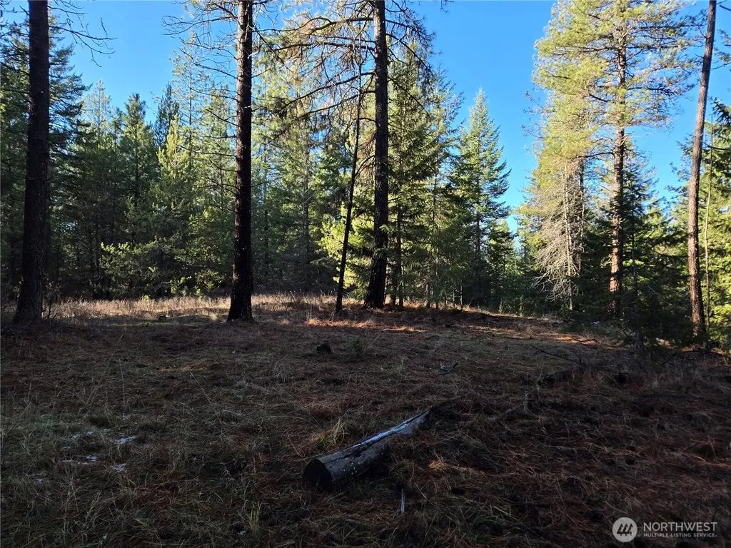 0 W Jump Off Joe Road Valley WA 99181