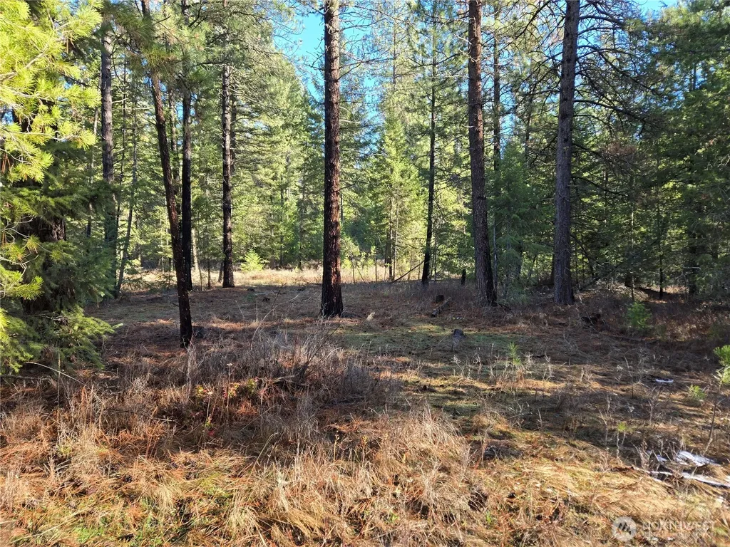 0 W Jump Off Joe Road Valley WA 99181