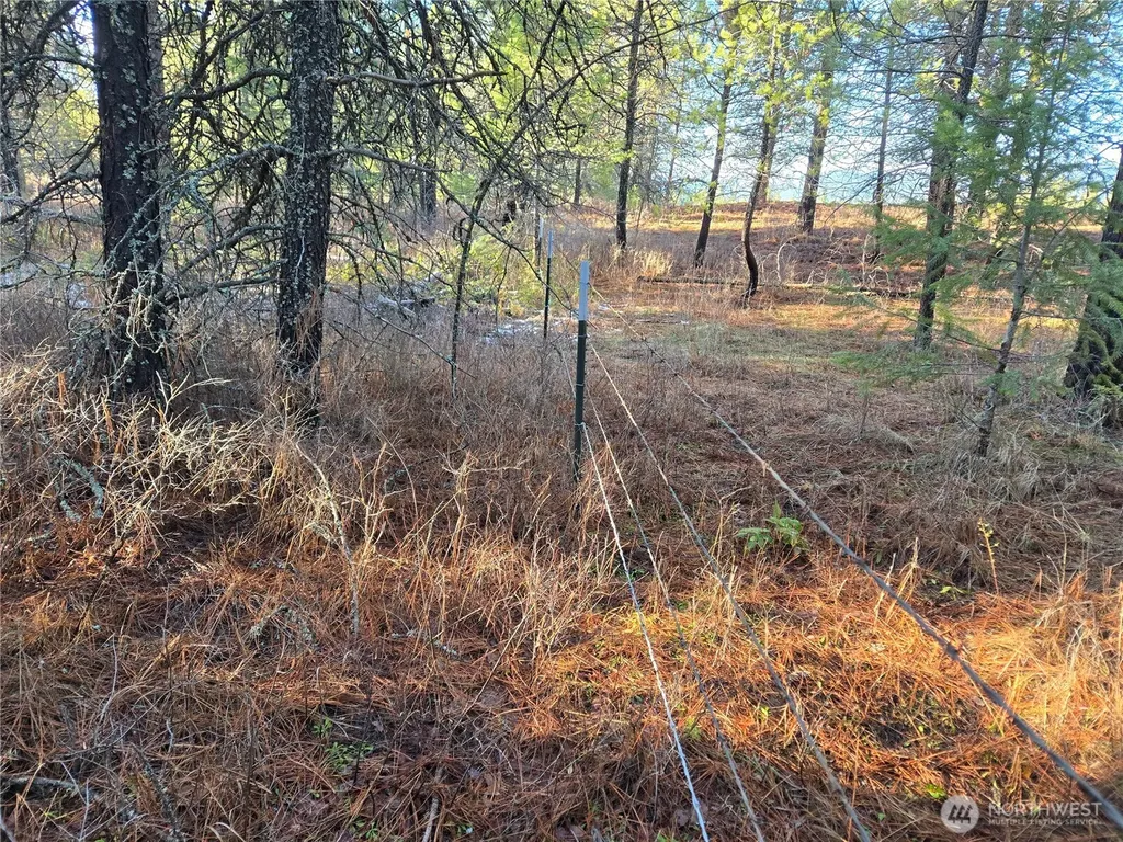 0 W Jump Off Joe Road Valley WA 99181