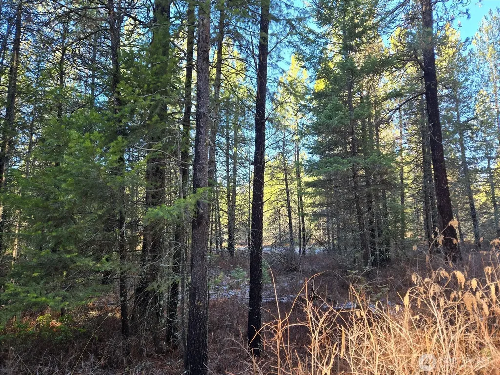 0 W Jump Off Joe Road Valley WA 99181
