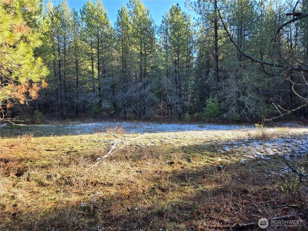 0 W Jump Off Joe Road Valley WA 99181