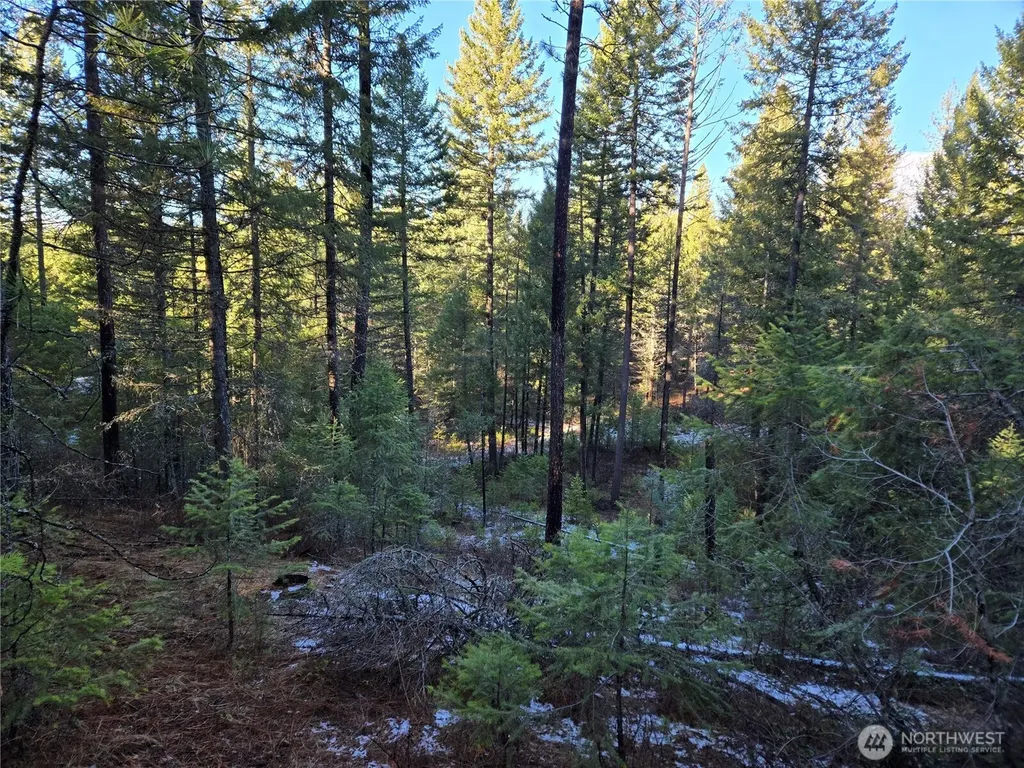 0 W Jump Off Joe Road Valley WA 99181