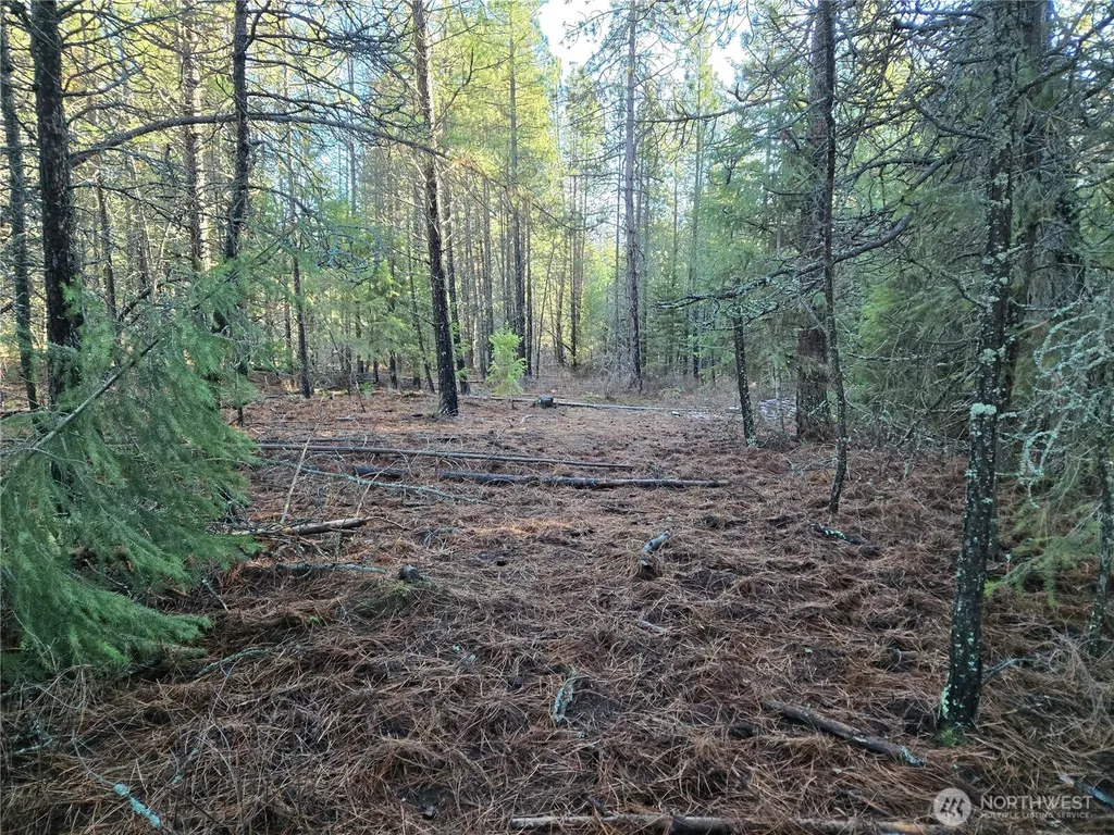 0 W Jump Off Joe Road Valley WA 99181