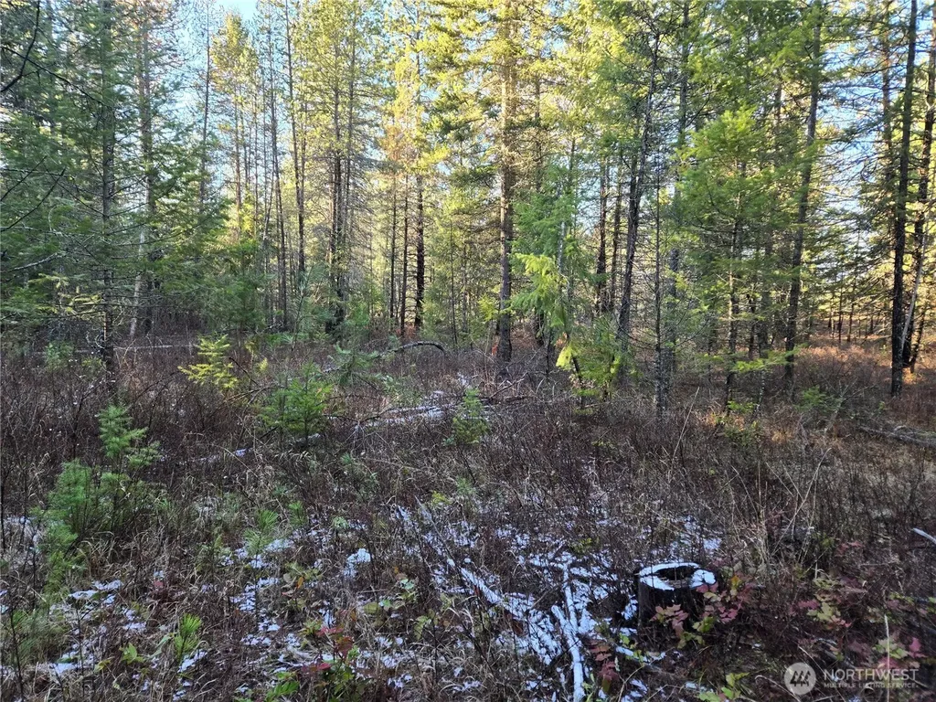 0 W Jump Off Joe Road Valley WA 99181