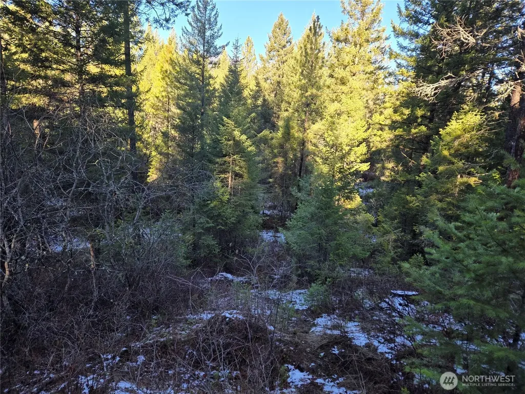0 W Jump Off Joe Road Valley WA 99181