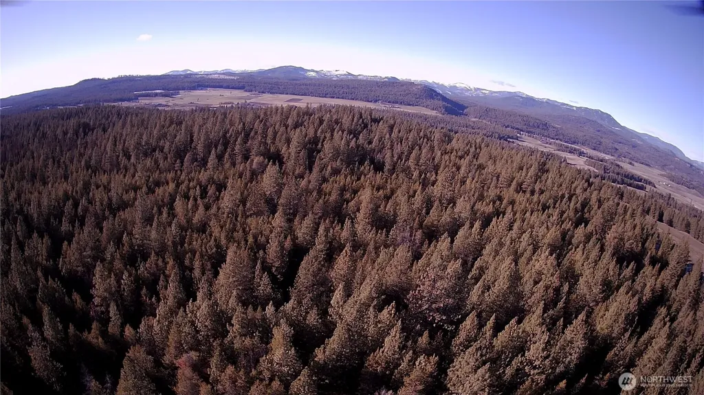 0 W Jump Off Joe Road Valley WA 99181
