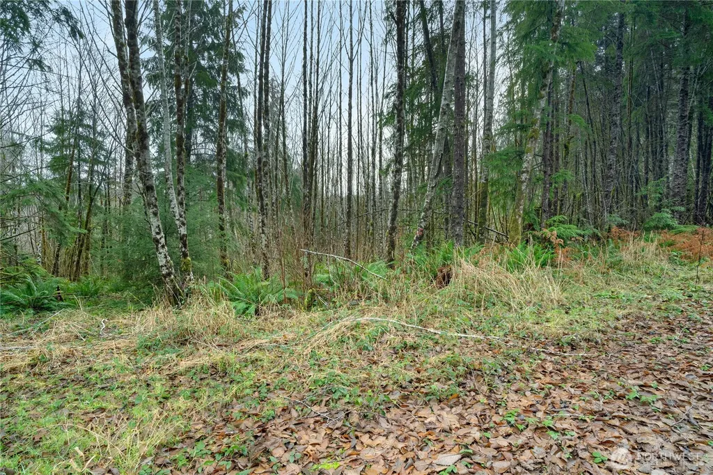 0 Fall River Road Cosmopolis WA 98537
