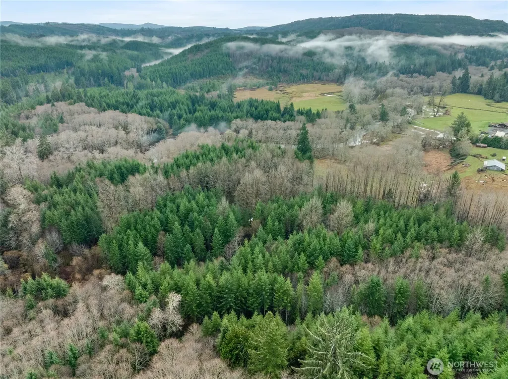 0 Fall River Road Cosmopolis WA 98537