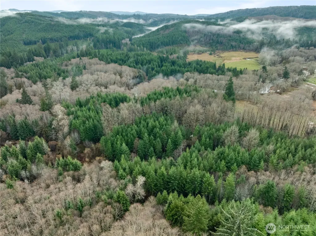 0 Fall River Road Cosmopolis WA 98537