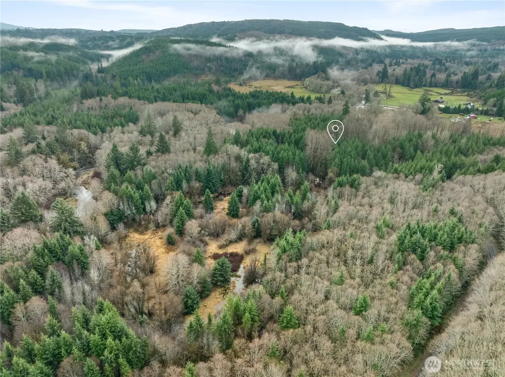 0 Fall River Road Cosmopolis WA 98537