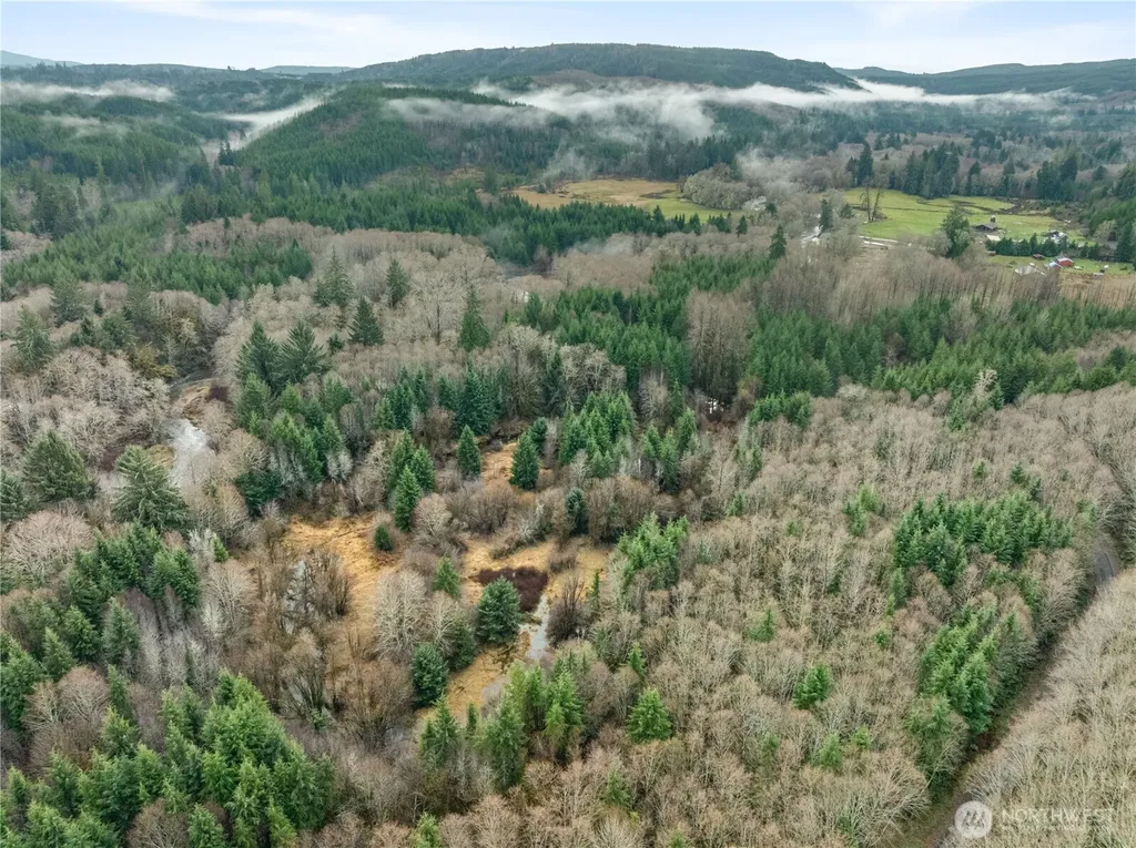 0 Fall River Road Cosmopolis WA 98537