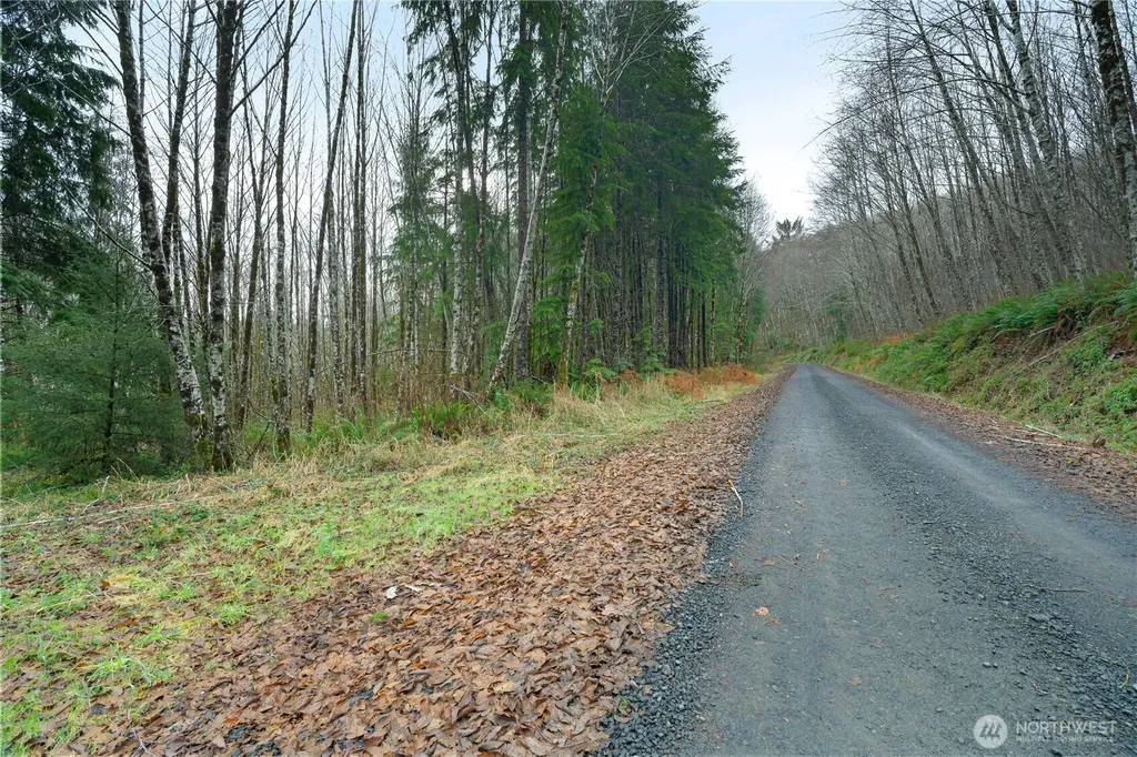 0 Fall River Road Cosmopolis WA 98537