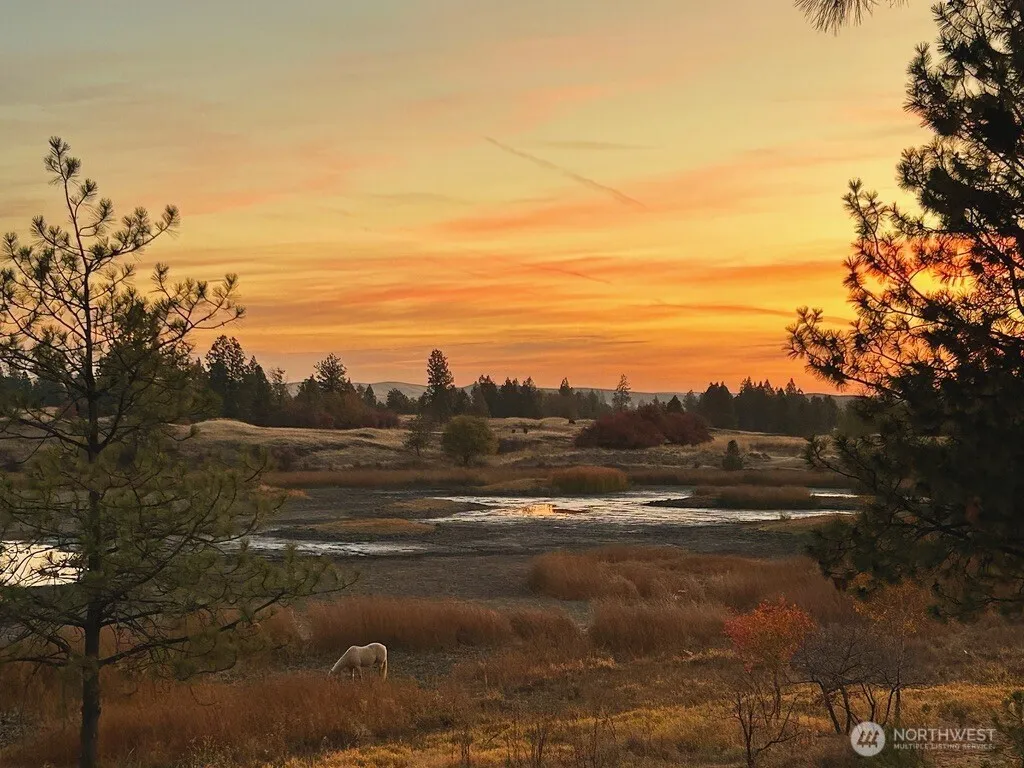 37227 S Long Road Cheney WA 99004