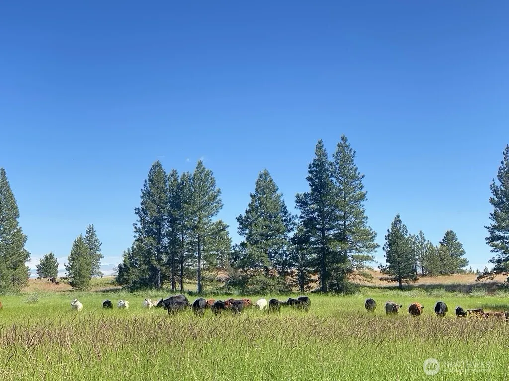 37227 S Long Road Cheney WA 99004