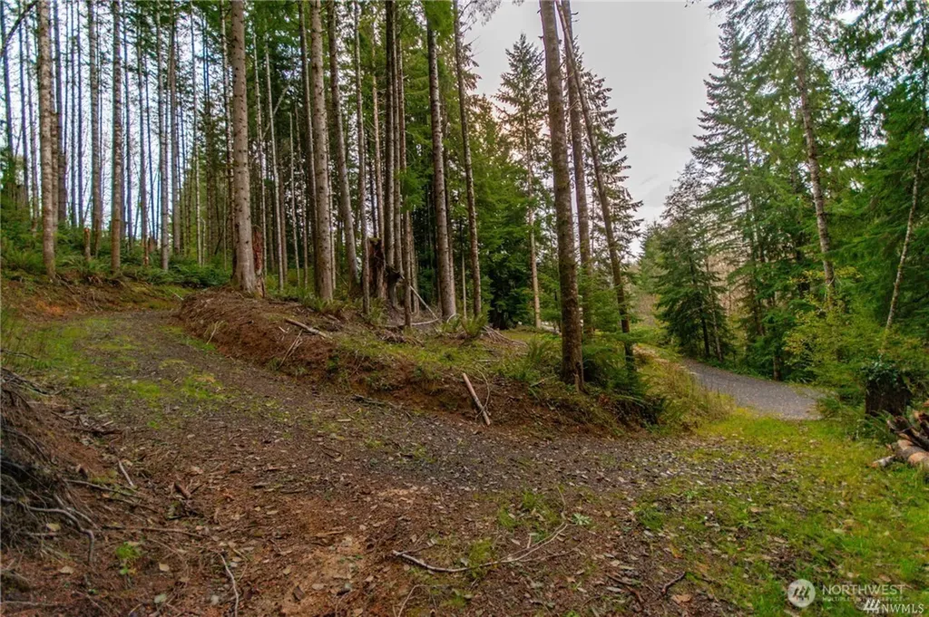 1 Lot Bison Run Longview WA 98632