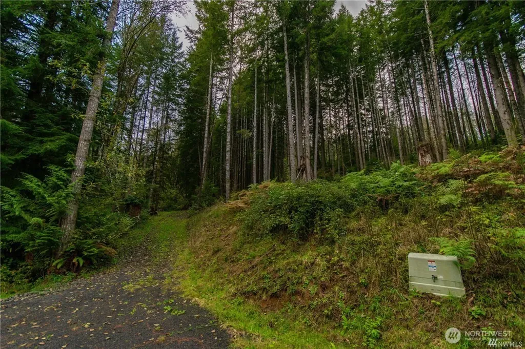1 Lot Bison Run Longview WA 98632