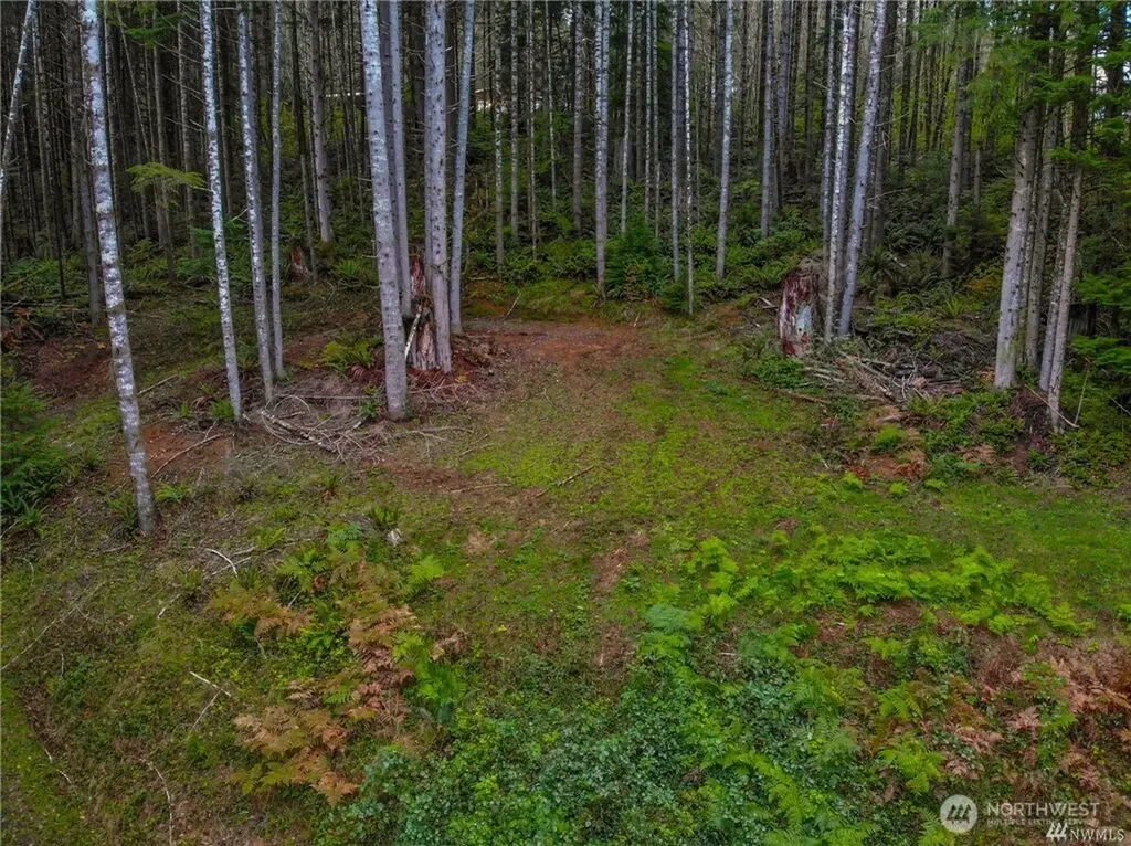 1 Lot Bison Run Longview WA 98632