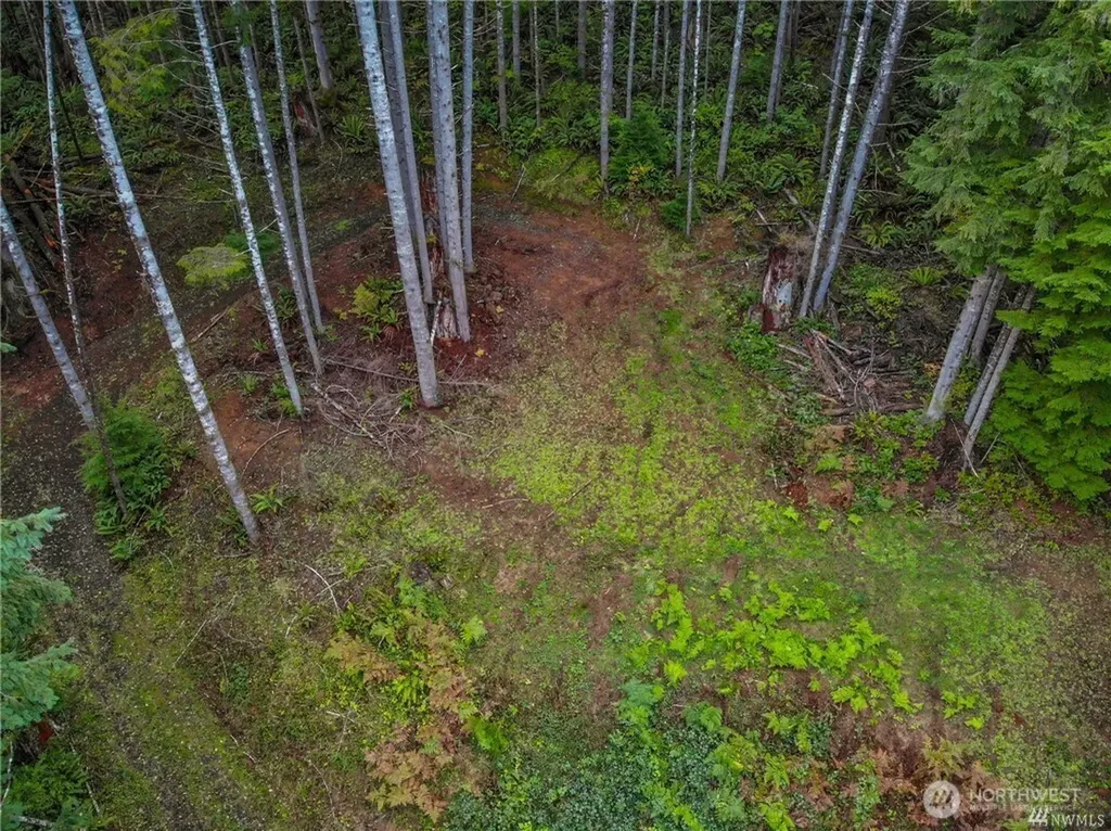 1 Lot Bison Run Longview WA 98632