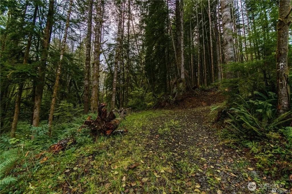 1 Lot Bison Run Longview WA 98632