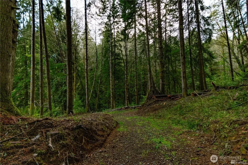 1 Lot Bison Run Longview WA 98632