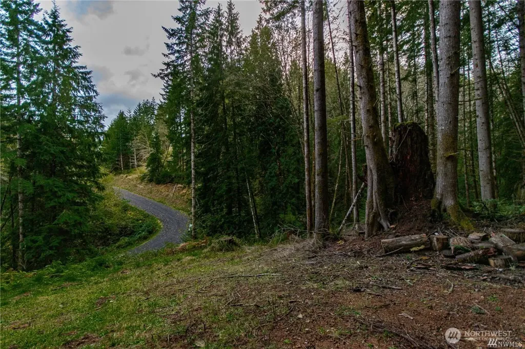 1 Lot Bison Run Longview WA 98632