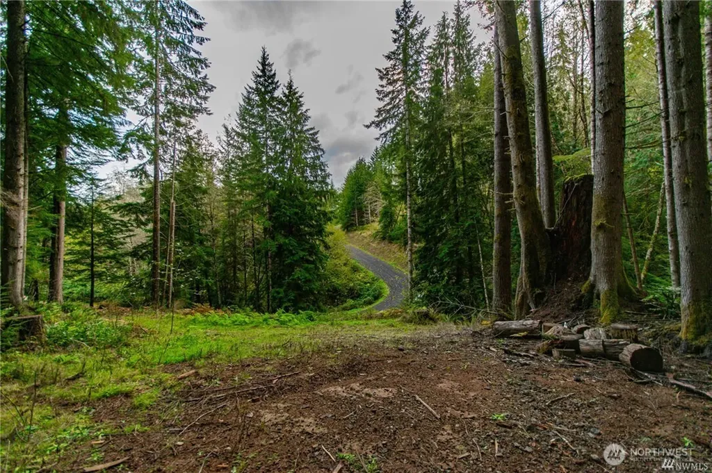1 Lot Bison Run Longview WA 98632