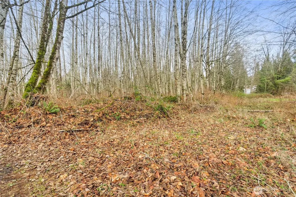 9682 Sherwood Drive Blaine WA 98230