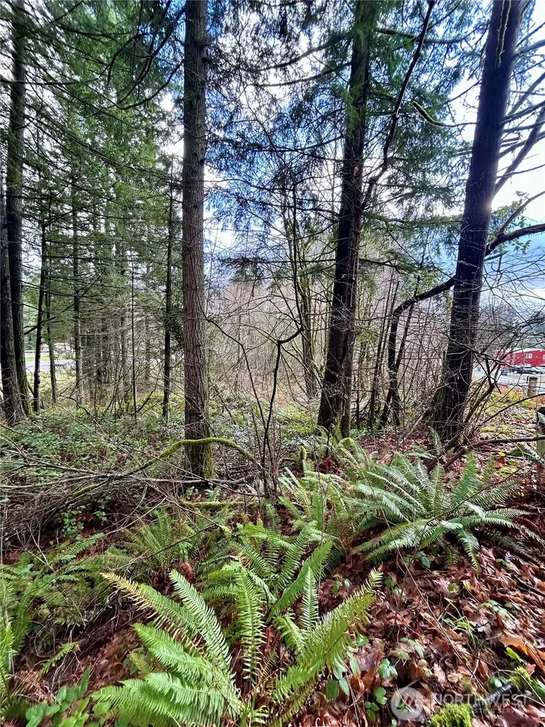 5820 Old Highway 410 SW Olympia WA 98512