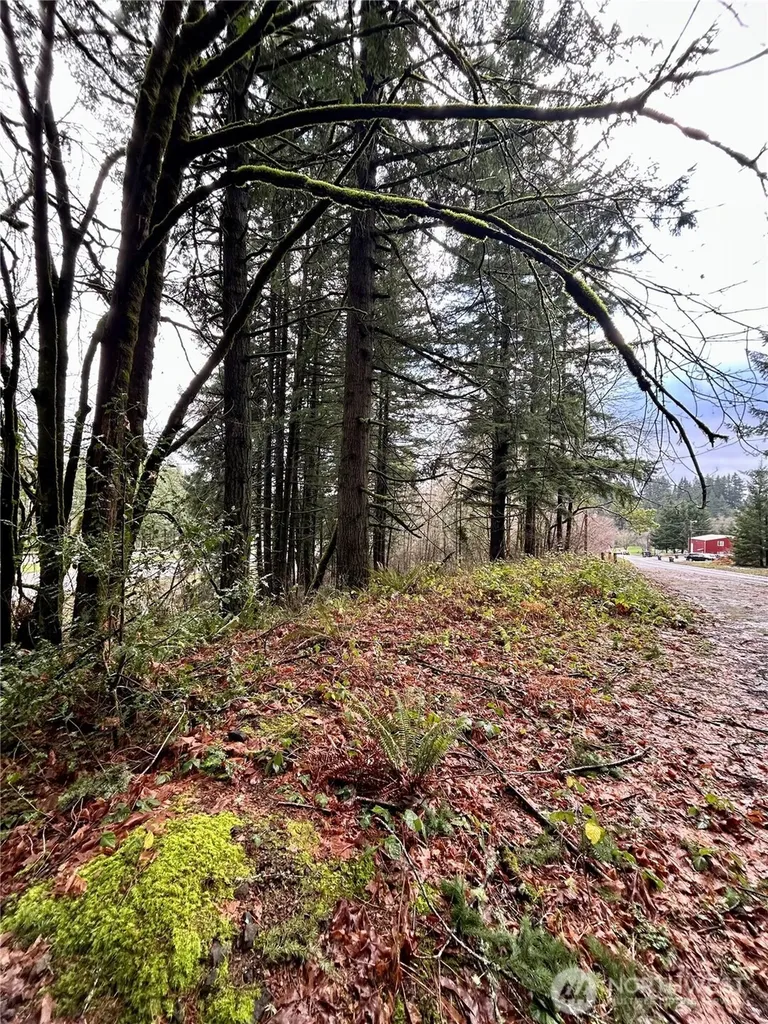 5820 Old Highway 410 SW Olympia WA 98512