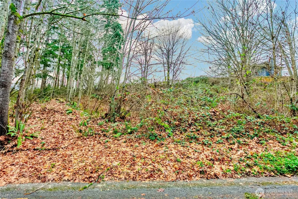 20508 40th Avenue Ct E Spanaway WA 98387