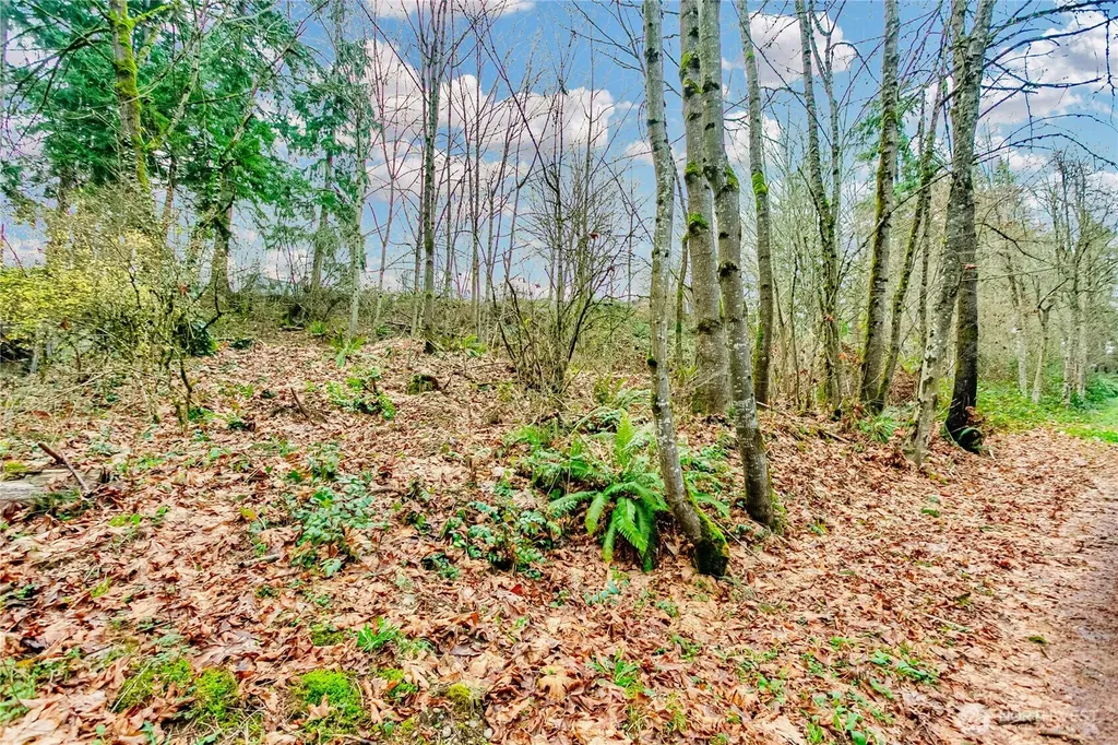 20508 40th Avenue Ct E Spanaway WA 98387