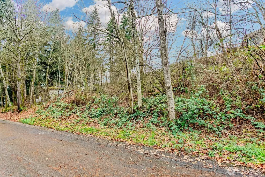 20508 40th Avenue Ct E Spanaway WA 98387